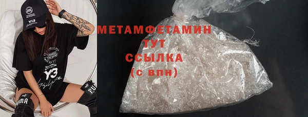 прущие грибы Новозыбков