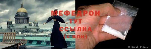 прущие грибы Новозыбков