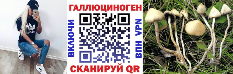 Галлюциногенные грибы Cubensis  Невьянск 
