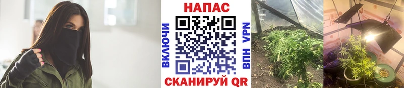 где можно купить   Невьянск  Бошки марихуана марихуана 